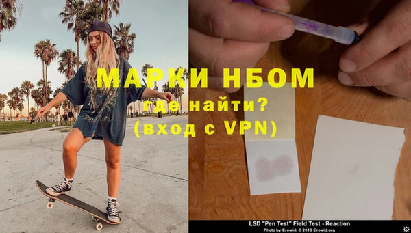 трава Няндома