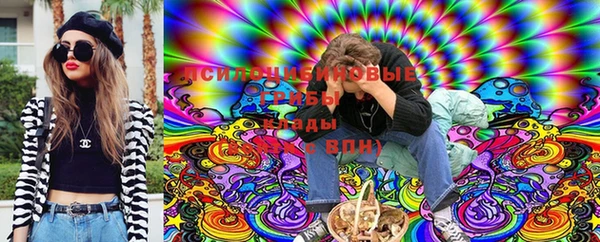 эйфоретик Новодвинск