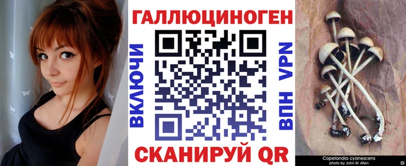 Купить  Новомосковск  Галлюциногенные грибы Cubensis 